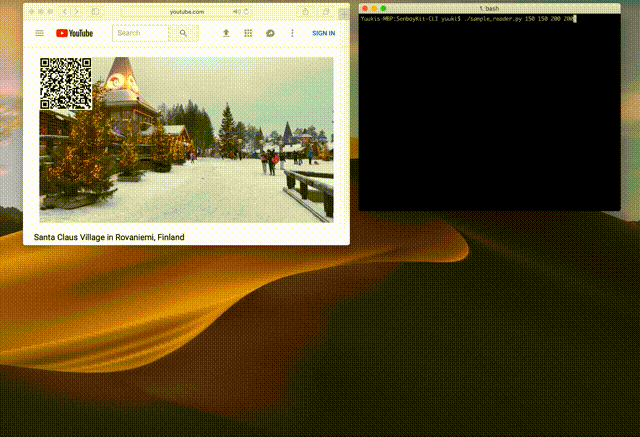 Senbay Reader Demo